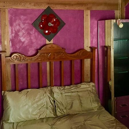 The Rabbit Hole Villa Glastonbury Luaran gambar